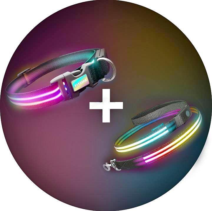 Double Rainbow LED Pet Collar & Leash Combo Set
