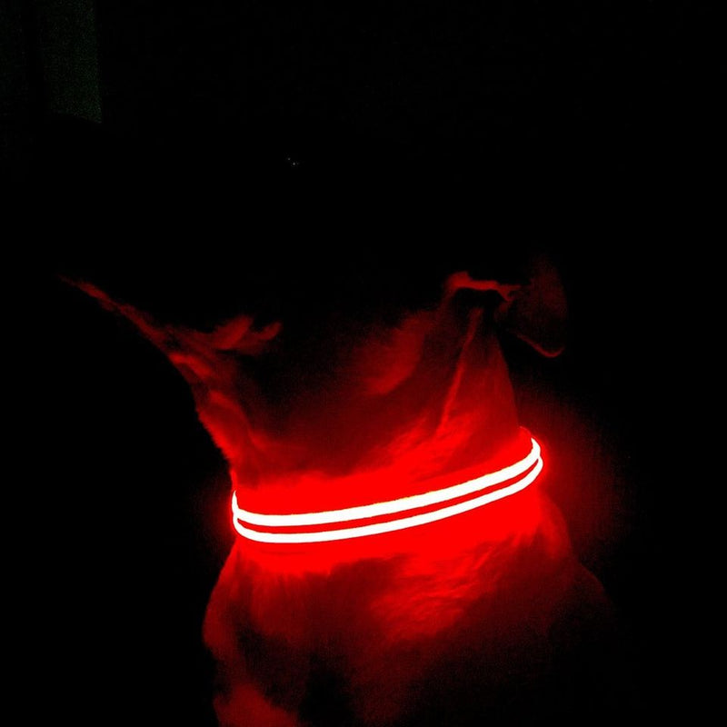 Pink Flamingo LED Collar & Leash Set