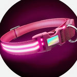 Pink Flamingo LED Collar & Leash Set