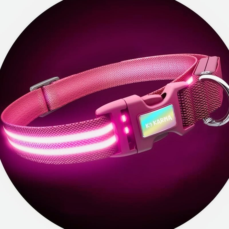 Pink Flamingo LED Collar & Leash Set