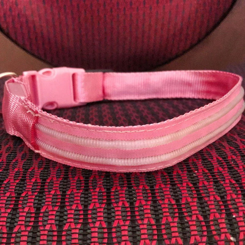 Pink Flamingo LED Collar & Leash Set