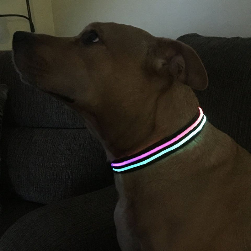 Double Rainbow LED Light Up Safety Collar Dual Fibre Optic 3 Speed