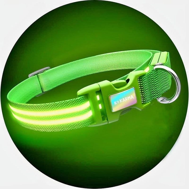 Green Shamrock LED Pet Collar