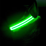 Green Shamrock LED Pet Collar