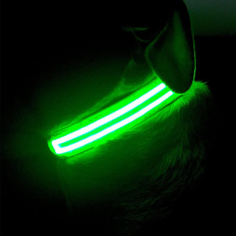 Green Shamrock LED Pet Collar