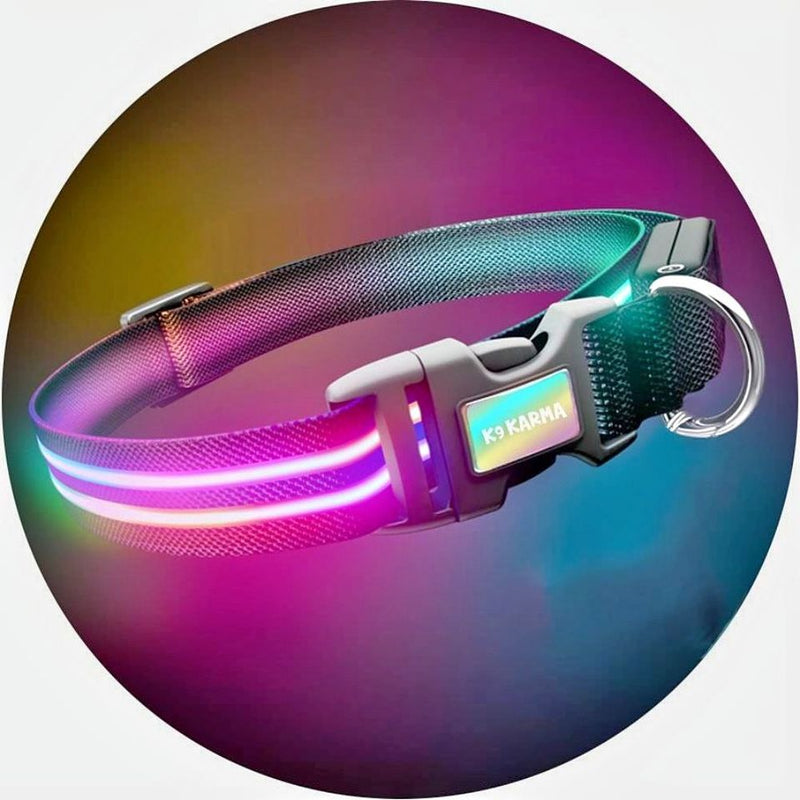 Double Rainbow LED Light Up Safety Collar Dual Fibre Optic 3 Speed